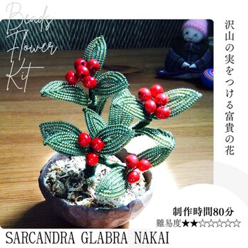 ビーズフラワーキット 千両 ※花器は含みません　「大きな文字と写真で分かるかんたんレシピ」付きの画像