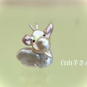 白山羊さん（シロヤギサン）の画像