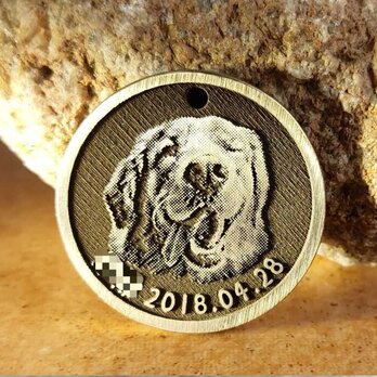【開店セール 先着順】うちの子　真鍮ネームタグ　キーホルダー 迷子札　犬　猫　ネームプレート　チャーム　両面印刻「Mサイズ」の画像
