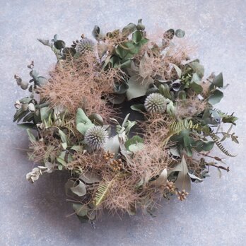 瀬戸内ユーカリのリース