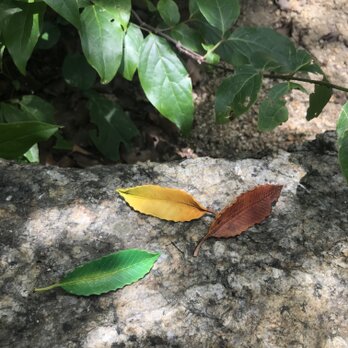 本革　葉っぱ　クヌギ　青葉　ブローチの画像