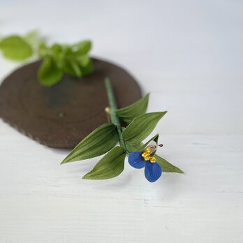 布花　鮮やかな青色の花びらがお祝いのプレゼントにおすすめの露草（ツユクサ）のコサージュ。の画像