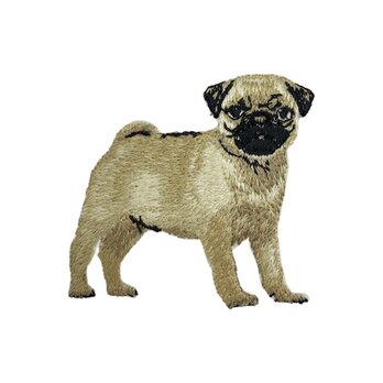 アップリケワッペン パグ フォーンカラー UI ドッグ 犬 パピー ベージュ W-2238の画像