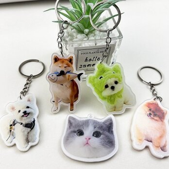 【送料無料】うちの子　アクリルキーホルダー 犬　猫　うさぎ　ペット　オリジナルメモリアルグッズ　写真　両面印刷　子供　お孫さんの画像
