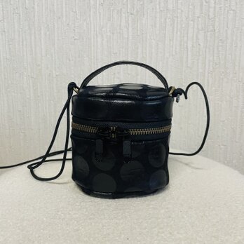 ドット柄レザーのミニミニバニティケースの画像