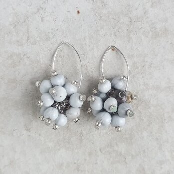 ジュズダマの実 耳飾り 白×カレンシルバー /ピアス or イヤリングの画像