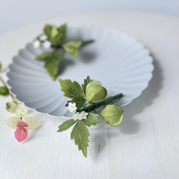 布花　ポンポンと風船がかわいいフウセンカズラのブローチの画像
