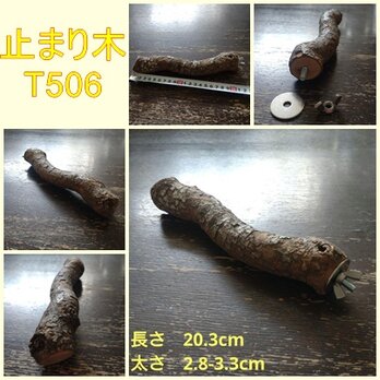 止まり木（枝：TOY-08-015）T506の画像