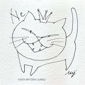 cat-kingの画像
