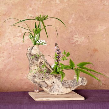 お気に入りの季節の花を飾って気持ちの良い空間を作ってみませんか？　流木の花器、木の花瓶、花器、小さな花瓶、８５の画像