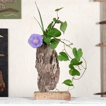 お気に入りの季節の花を飾って気持ちの良い空間を作ってみませんか？　流木の花器、木の花瓶、花器、小さな花瓶、８1の画像