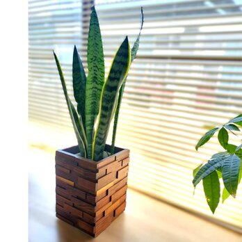 天然木 鉢カバー　ウォールナット 　観葉植物カバーの画像