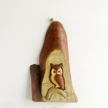 山のふくろうの画像