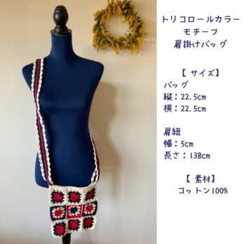 トリコロールカラー モチーフ 肩掛けバッグの画像