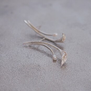 カラーとパールのピアス(silver×water pearl)の画像