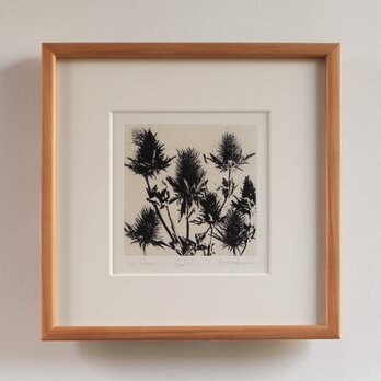銅版画 “Sea Holly”（額装）の画像