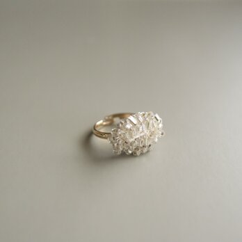 leaf ring [ france vintage ]の画像