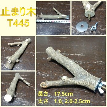 止まり木（カラタチ：TOY-08-015）T462の画像