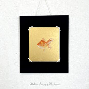 金魚【原画/寸松庵】の画像