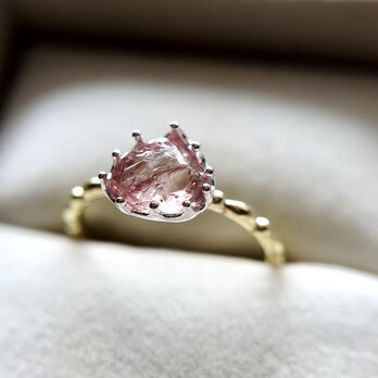Garnet Bicolor Ringの画像