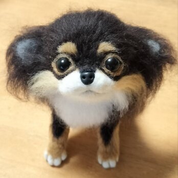 チワワ羊毛フェルト