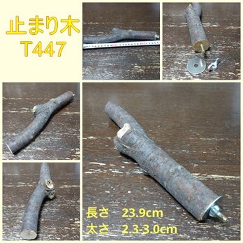 止まり木（枝：TOY-08-015）T447の画像