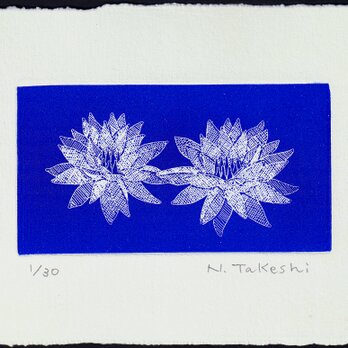 二つの睡蓮・2024/刷色：紺色/銅版画(作品のみの画像
