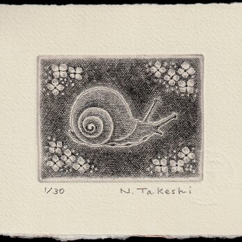 かたつむり・2024/銅版画(作品のみ）の画像