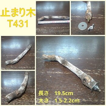 止まり木（枝：TOY-08-015）T431の画像