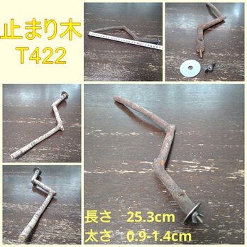 止まり木（枝：TOY-08-015）T422の画像