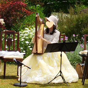 実例写真！カラードレス ライトイエロー ベアトップ 繊細レース 可愛い バックリボン 演奏会/音楽会の画像