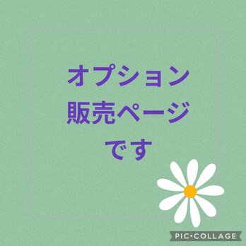 【オプション販売ページです】ピッグスキンフラットバッグにマグネットホックの画像