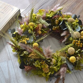 秋のハーベストwreathの画像