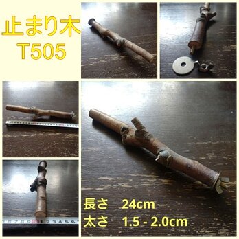 止まり木（枝：TOY-08-015）T505の画像