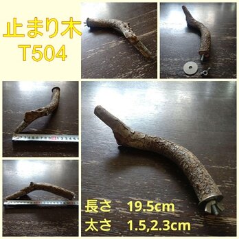 止まり木（枝：TOY-08-015）T504の画像