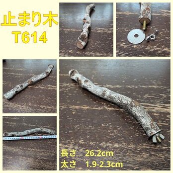 軽いくねくね止まり木（枝：TOY-08-015）T614