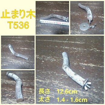 止まり木（枝：TOY-08-015）T536