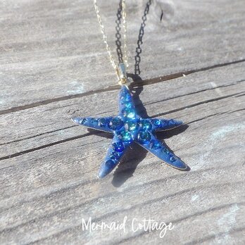 Twinkle Twinkle Big Starfish　バミューダブルーの画像
