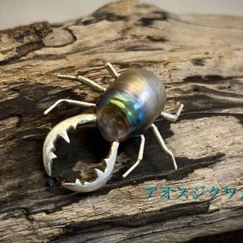 アオスジクワガタの画像