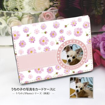 うちの子の写真で作る 定期入れ/パス入れ/名刺入れ  カードケース（秋桜）の画像