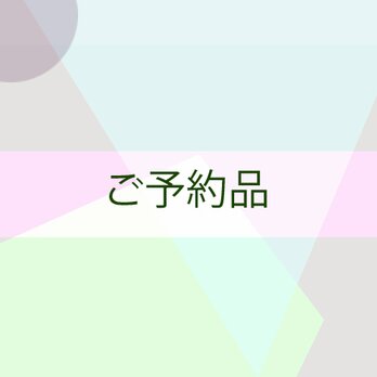 M様ご注文品　「ネイビーステッチ」"iroha"