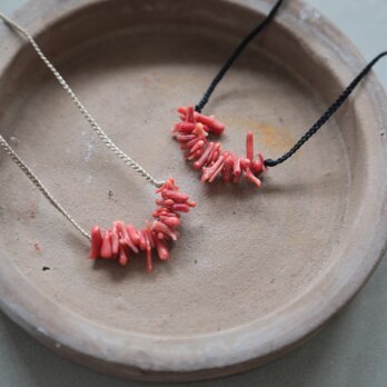 Coral neklaceの画像