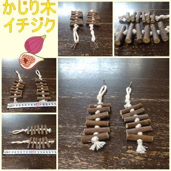 かじり木(無花果)(TOY-21-004)の画像