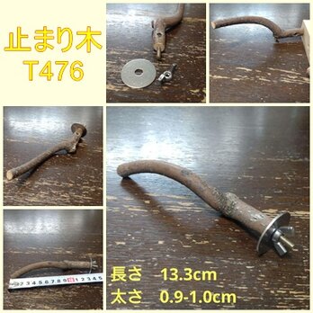 止まり木（枝：TOY-08-015）T476の画像