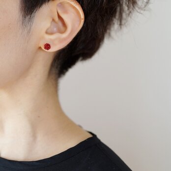 odango pierce コイアカの画像