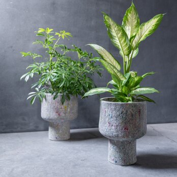 リサイクルペーパーポット(L)＋観葉植物セット インテリア 個性的 観葉植物 鉢 おしゃれ ギフト プレゼントの画像