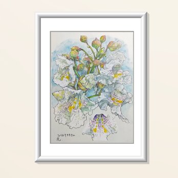 原画：お好きな植物を、博物画風の植物画でお描きします。　水彩画スケッチB4サイズの画像