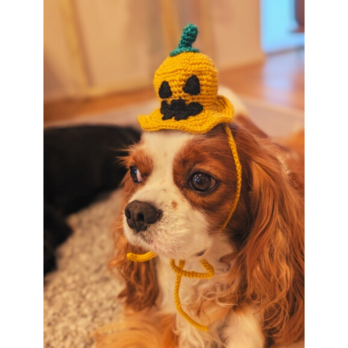 うちの子も人もみんなで揃いハロウィンハット(SSサイズ・パッチンどめ)の画像