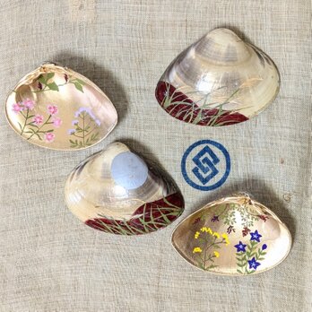 貝合わせ（秋の七草）の画像