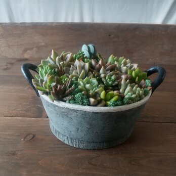 バケツ型植木鉢の画像